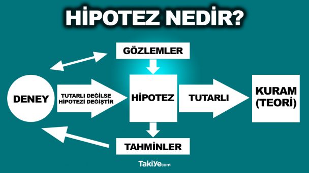 Hipotez Nedir Örnekleri ve Özellikleri ile Hipotez Ne Demek Takiye