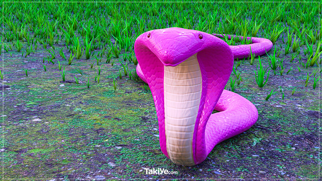 rüyada pembe kobra yılanı görmek