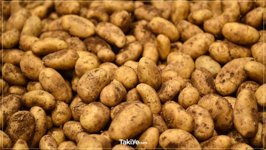 Rüyada Patates Görmek Hangi Anlama Gelir? rüyada patates görmek