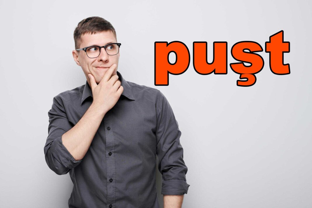 Puşt Ne Demek? Puşt Nedir? Puşt Kelimesinin Anlamı! puşt ne demek? puşt nedir? puşt kelime anlamı