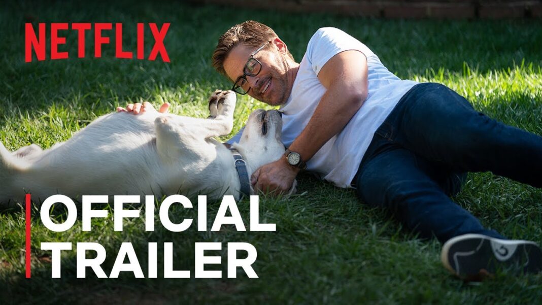 Mutlaka İzlemeniz Gereken Kayıp Köpek Benzeri 8 Film kayıp köpek benzeri filmler