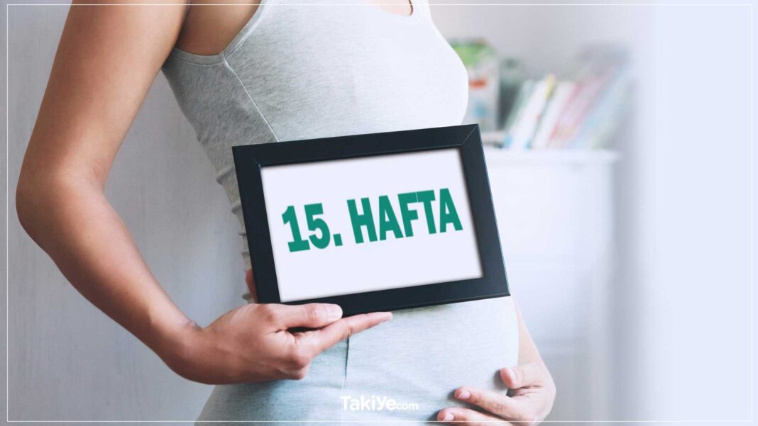 Hamileliğin 15. Haftası: Belirtileri, Bebek Gelişimi, Büyüklüğü ve İpuçları hamileliğin 15. haftası