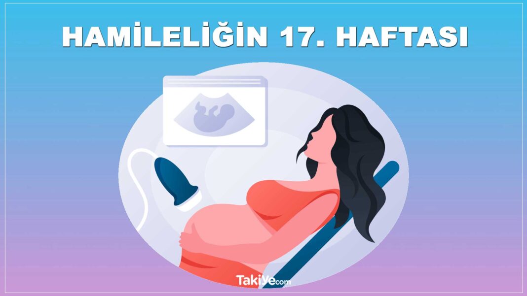 Hamileliğin 17. Haftası: Belirtileri, Bebek Gelişimi, Büyüklüğü ve İpuçları hamileliğin 17. haftası