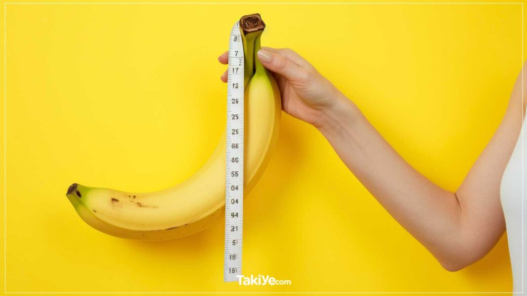 Kadınlara ve Erkeklere Göre Ortalama İdeal Penis Boyu Kaç Cm Olmalı? Kadınlara ve Erkeklere Göre Ortalama İdeal Penis Boyu Kaç Cm Olmalı?