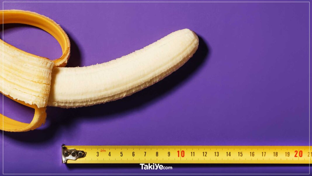 Penis Boyu Hakkında Bilinmesi Gereken Acı Gerçekler ideal penis boyu