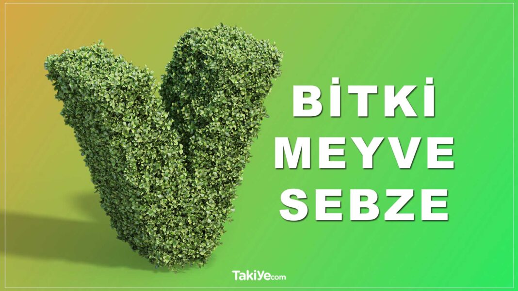 V ile Bitki Var mı? V Harfi ile Başlayan Meyveler Bitkiler Sebzeler! v ile bitki ismi. v ile başlayan meyveler, sebzeler, bitkiler.