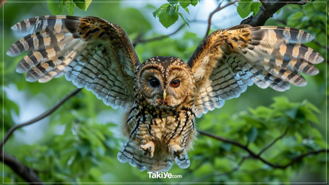 Yılanları Ne Yer? Yılanları Hangi Diğer Hayvanlar Öldürür yılanları ne yer