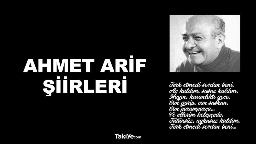 Ahmet Arif Şiirleri – Şairin 17 İsyankar Şiiri ve Sözleri ahmet arif şiirleri