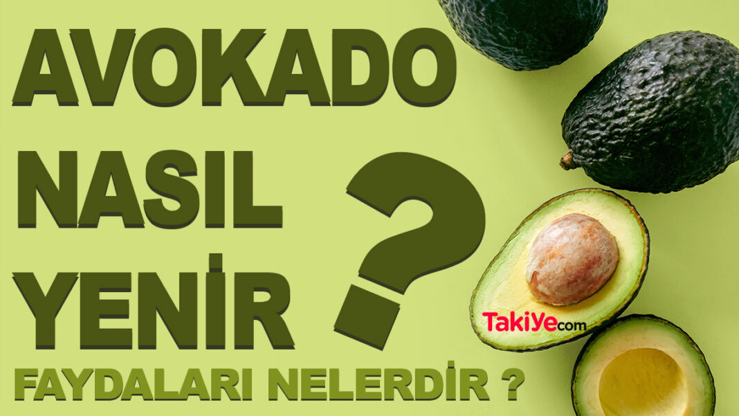 Avokado Nasıl Yenir, Faydaları Nelerdir Avokado Nasıl Yenir, Faydaları Nelerdir