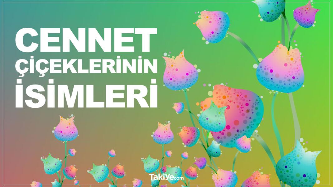 Cennet Çiçeklerinin İsimleri ve Anlamları Nelerdir? cennet çiçeklerinin isimleri