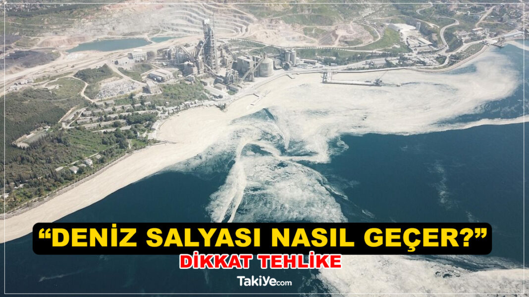 Deniz Salyası Nedir? Nasıl Geçer? Deniz Salyası Neyin Habercisi? Marmara Denizinde Müsilaj Kabusu! deniz salyası nasıl geçer