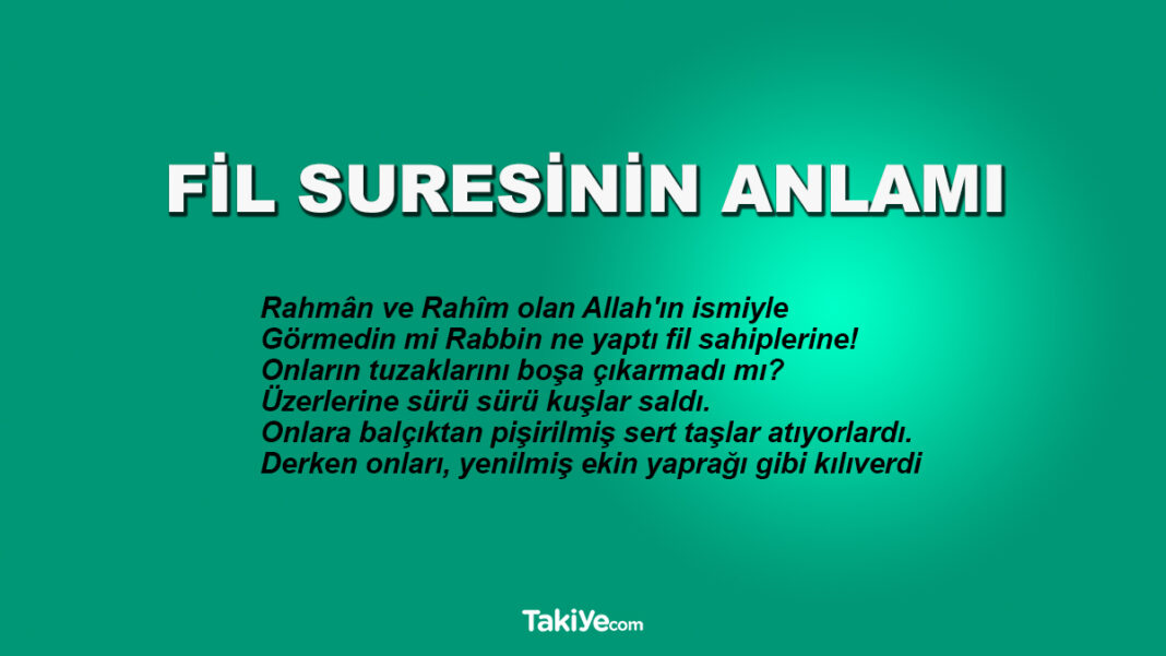 Fil Suresinin Anlamı Nedir? Fil Suresi Türkçe ve Arapça Okunuşu fil suresinin anlamı