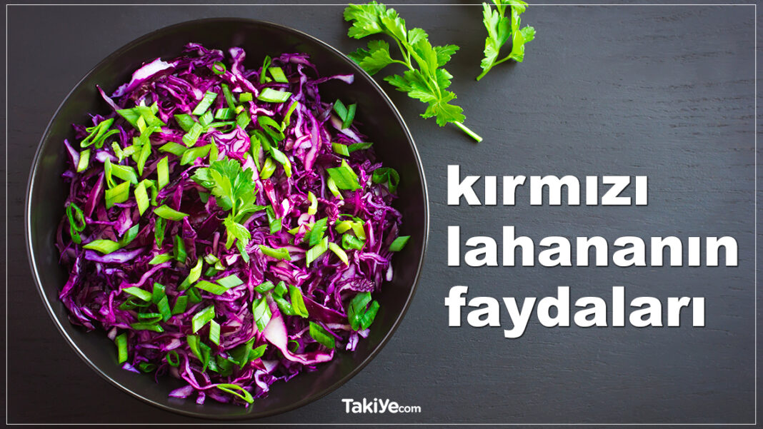 Her Derde Deva Olan Kırmızı Lahananın Faydaları Nelerdir? kırmızı lahananın faydaları