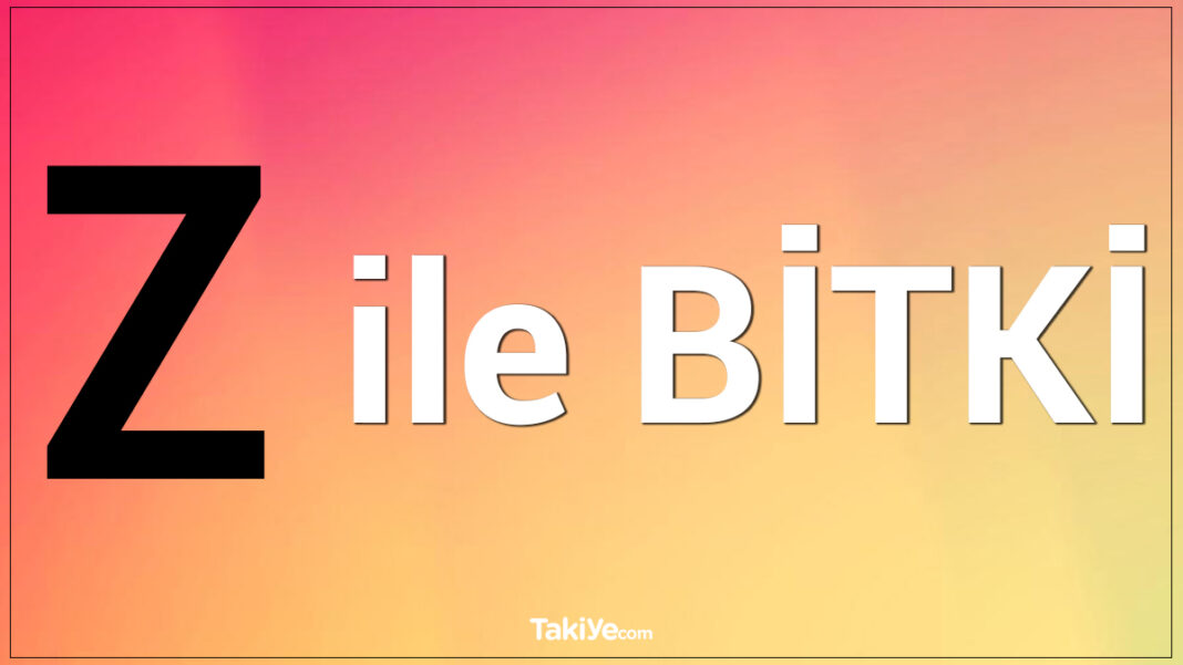 Z Harfi ile Başlayan Bitki, Hayvan, Eşya, Şehir İsimleri z ile bitki